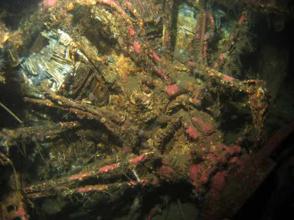 Sternmotor der Do24