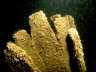 Am Wrack des "Koksfrachters"